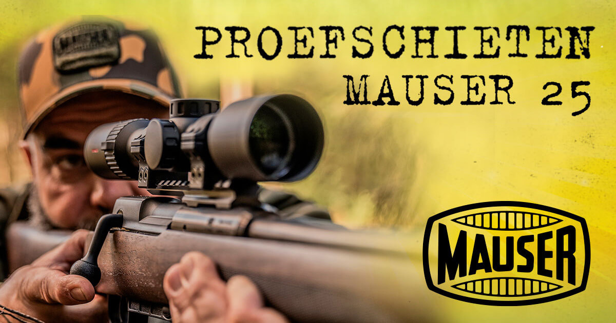 Mauser 25