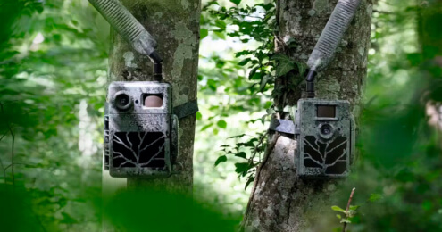 Zeiss wildcameras