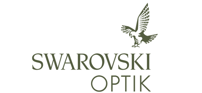 swarovski-logo-light-green